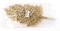 Set of 24: Sparkling Gold Glitter Ash Spray Picks | 17-Inch | Festive Holiday Decor | Trees, Wreaths, & Garlands | Christmas Picks | Home & Office Decor | Floral Home by Artificial Flowers